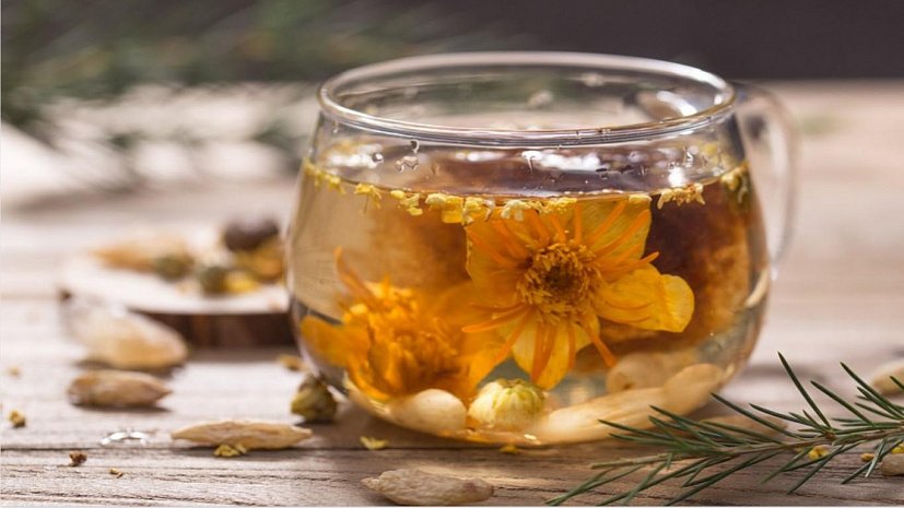 7 Best Herb Tea in Your Garden