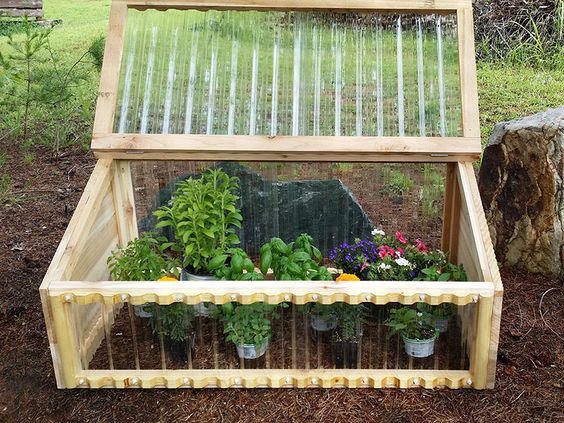 10 Important Things To Do In Garden In April | Planting Guide