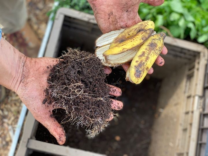 10 Important Things To Do In Garden In April | Planting Guide