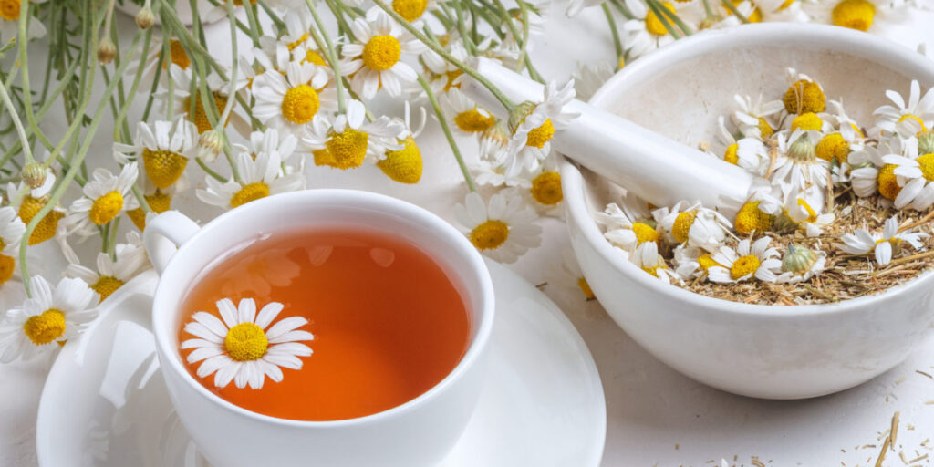 7 Best Herb Tea in Your Garden