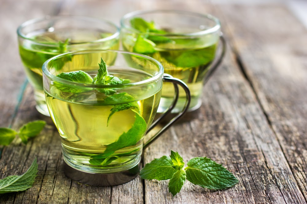 7 Best Herb Tea in Your Garden