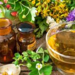 7 Best Herb Tea in Your Garden