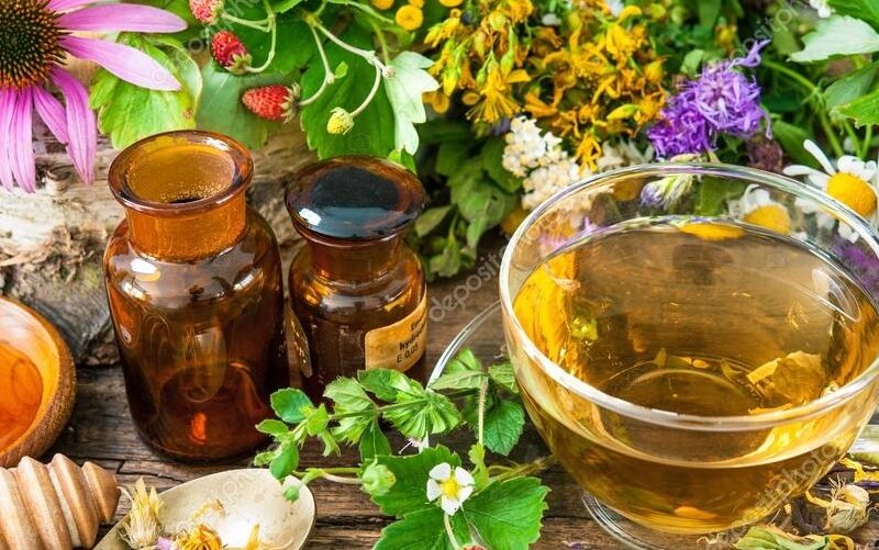 7 Best Herb Tea in Your Garden