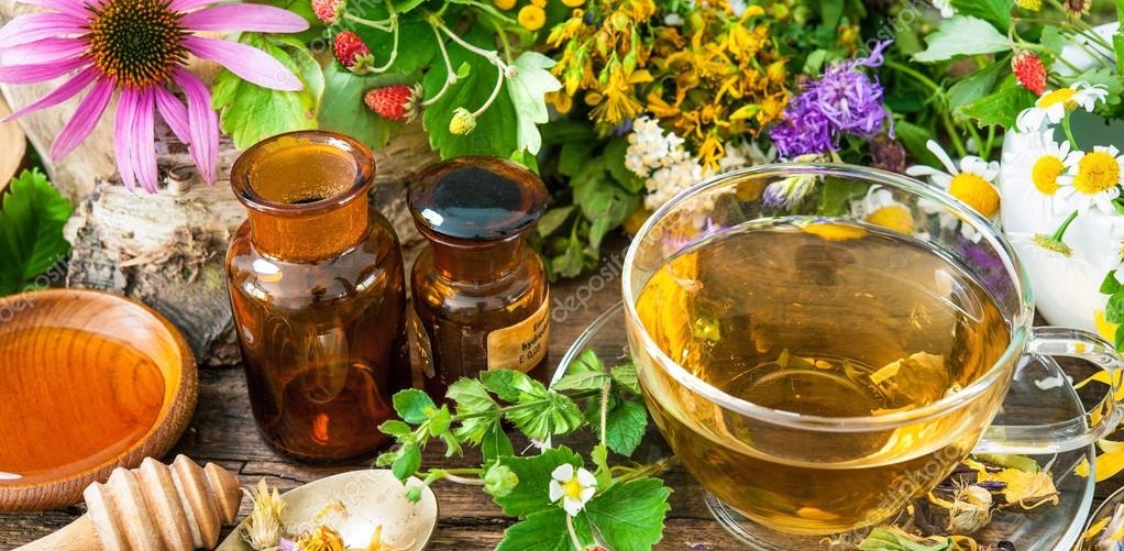 7 Best Herb Tea in Your Garden 7 Best Herb Tea in Your Garden