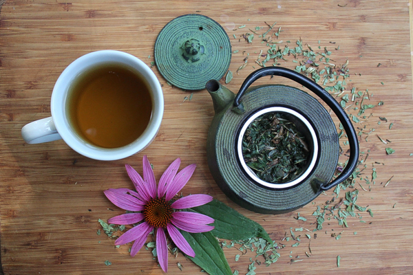 7 Best Herb Tea in Your Garden
