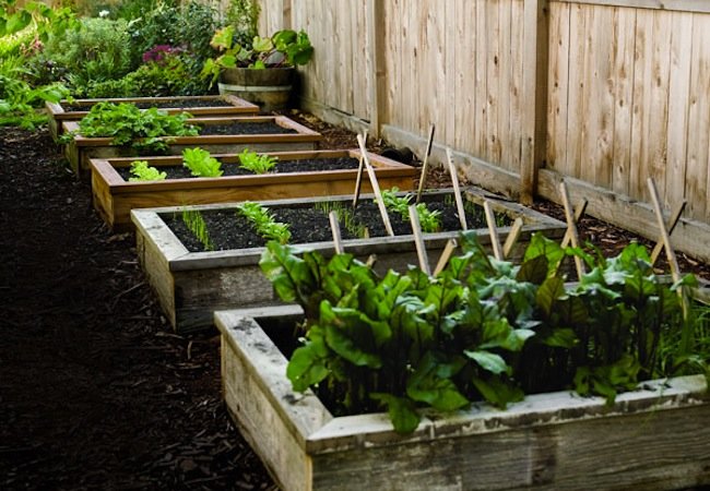 10 Important Things To Do In Garden In April | Planting Guide