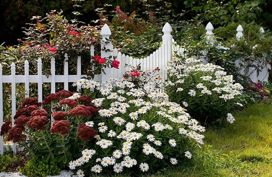 7 Best Herb Tea in Your Garden