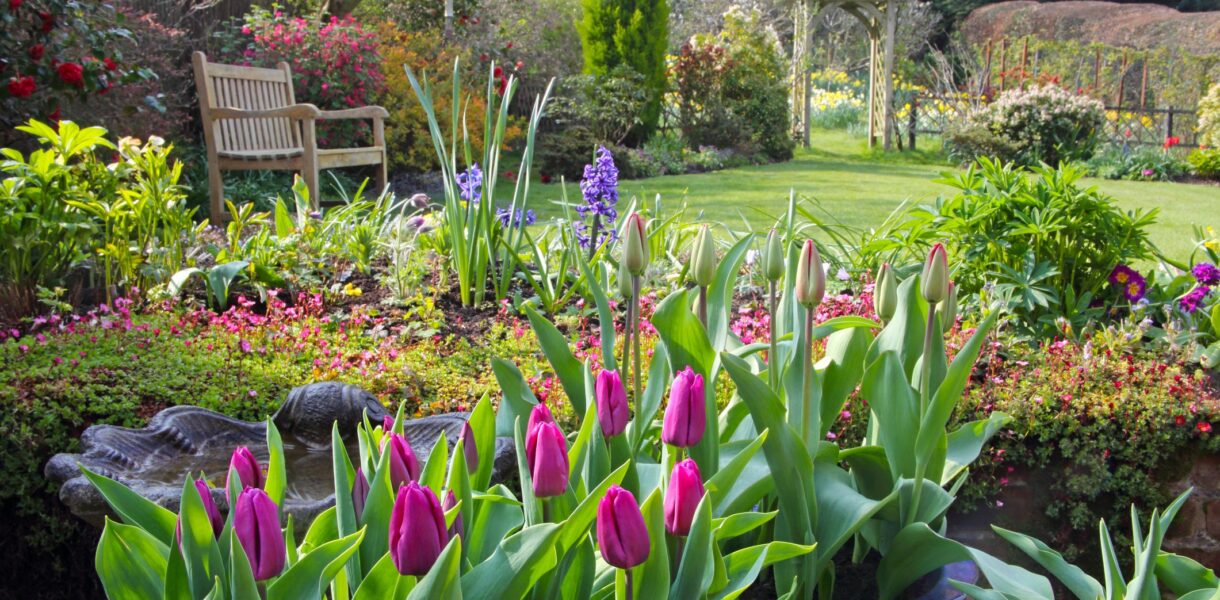 10 Important Things To Do In Garden In April | Planting Guide