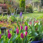 10 Important Things To Do In Garden In April | Planting Guide