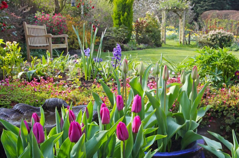 10 Important Things To Do In Garden In April | Planting Guide