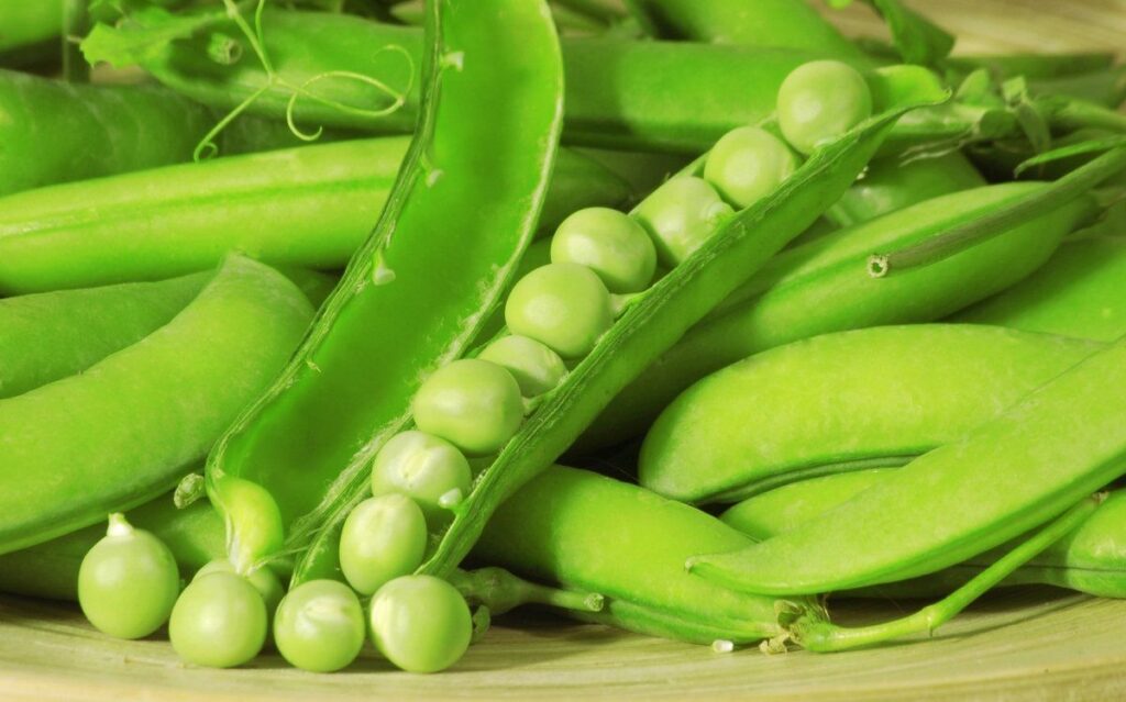 How to Grow Pea Plants