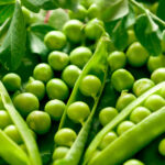 How to Grow Pea Plants