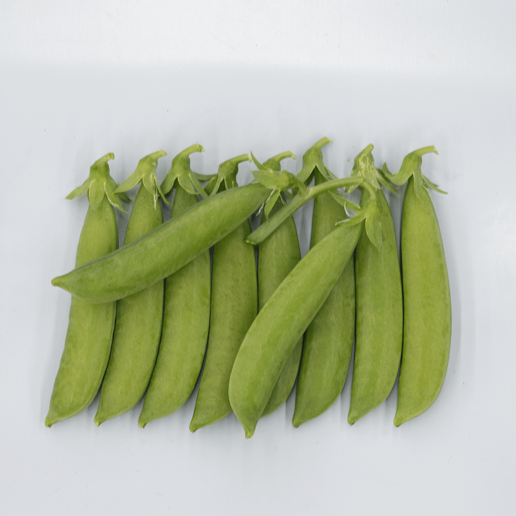 How to Grow Pea Plants