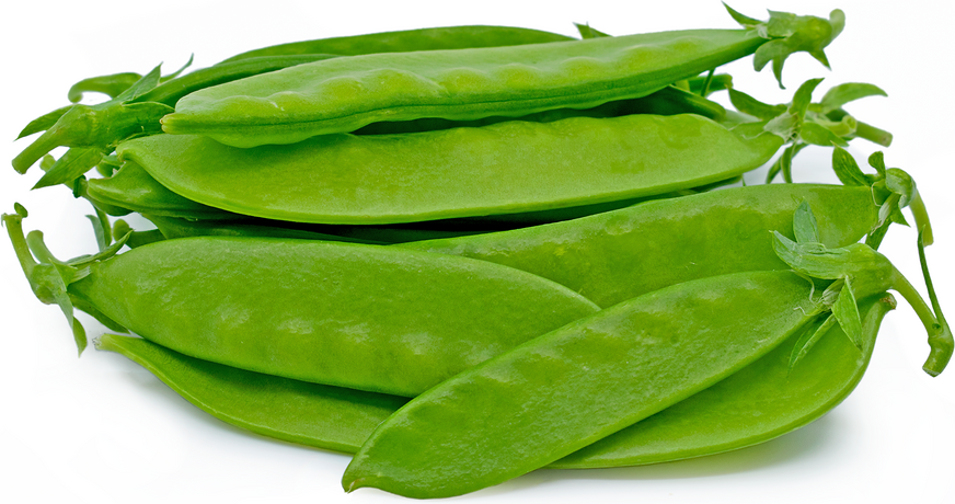 How to Grow Pea Plants