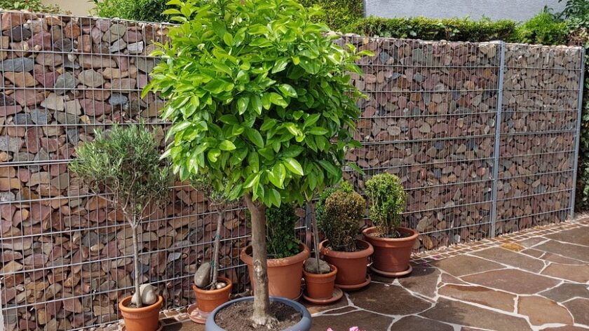10 Gabion ideas in the garden 10 Gabion ideas in the garden