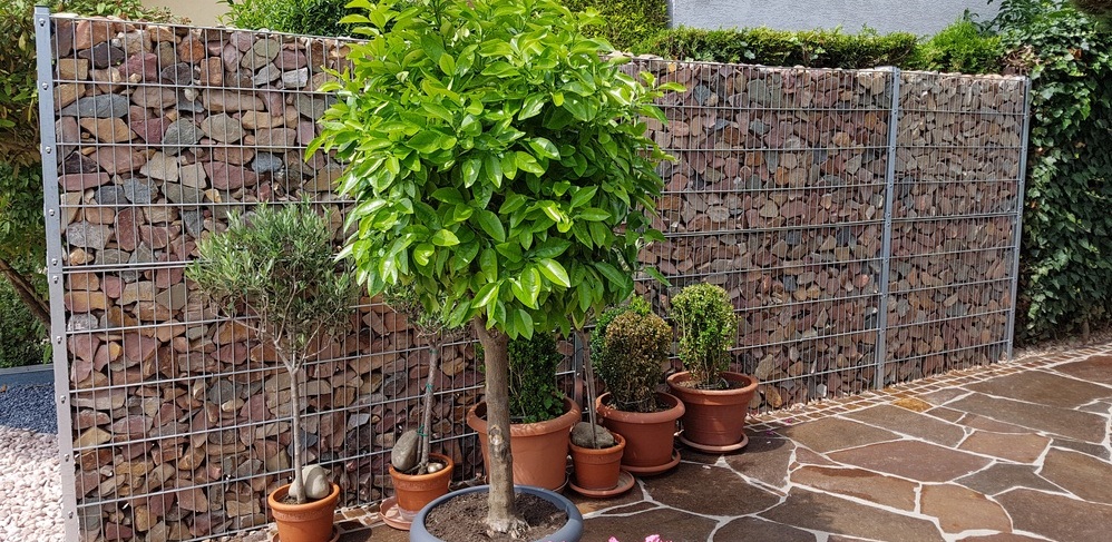 10 Gabion ideas in the garden 10 Gabion ideas in the garden