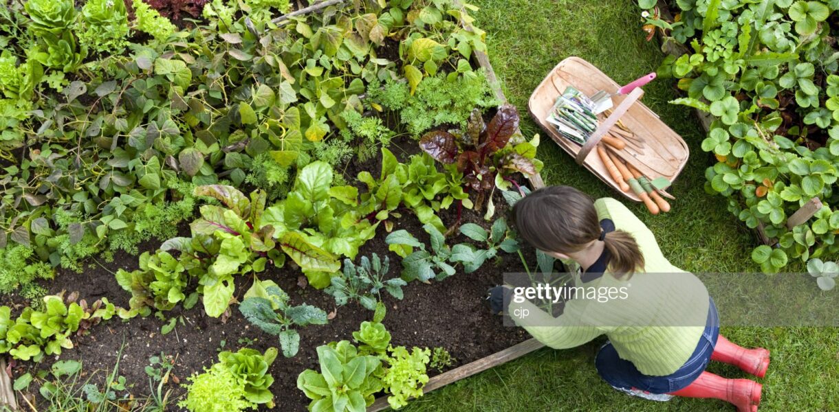 15 Raised Bed Garden Design Ideas 15 Raised Bed Garden Design Ideas