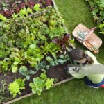 15 Raised Bed Garden Design Ideas