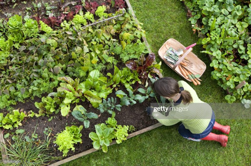 15 Raised Bed Garden Design Ideas