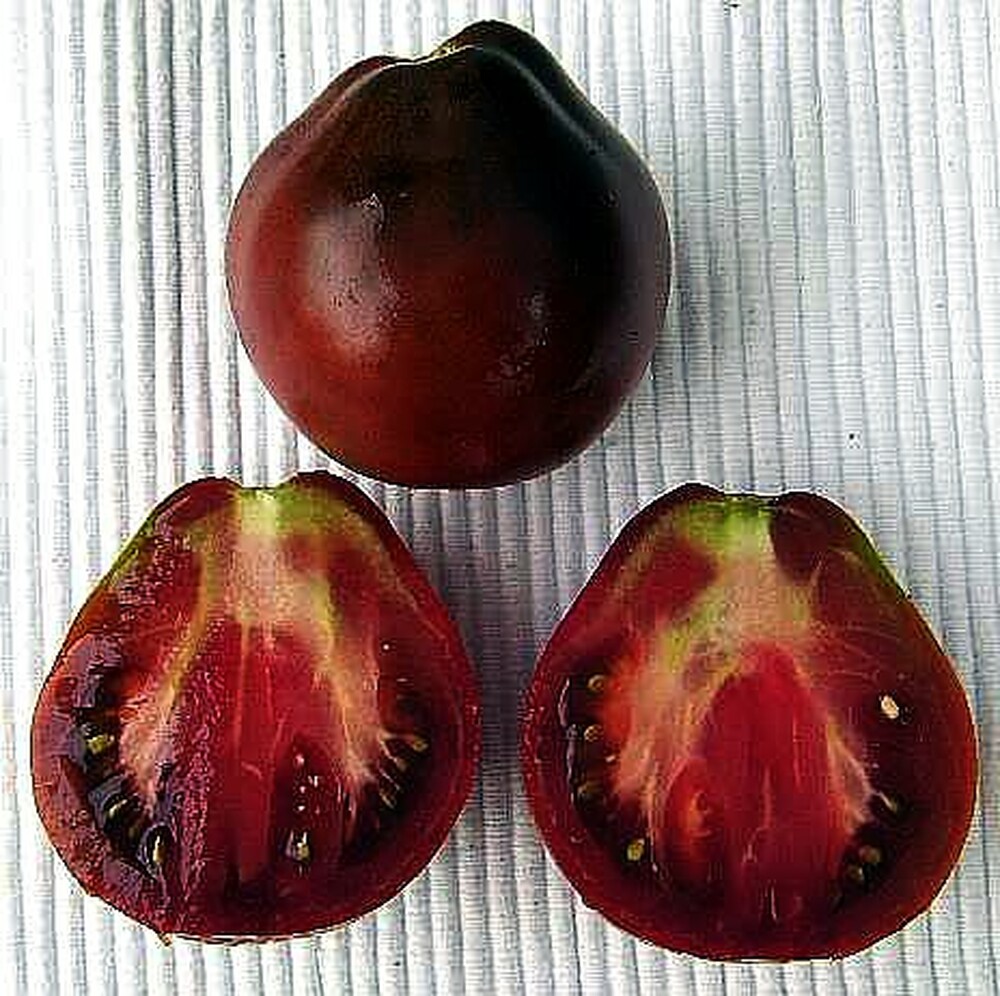 20+ of the Best Tomato Varieties
