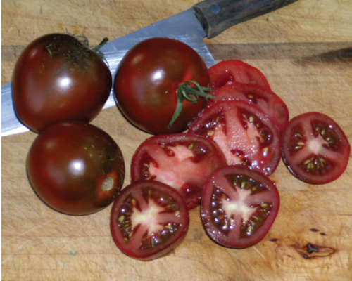 20+ of the Best Tomato Varieties