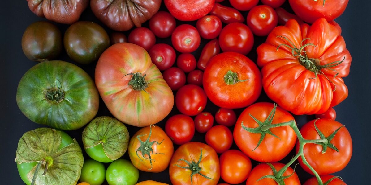 20+ of the Best Tomato Varieties