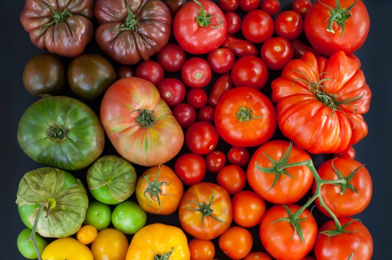 20+ of the Best Tomato Varieties