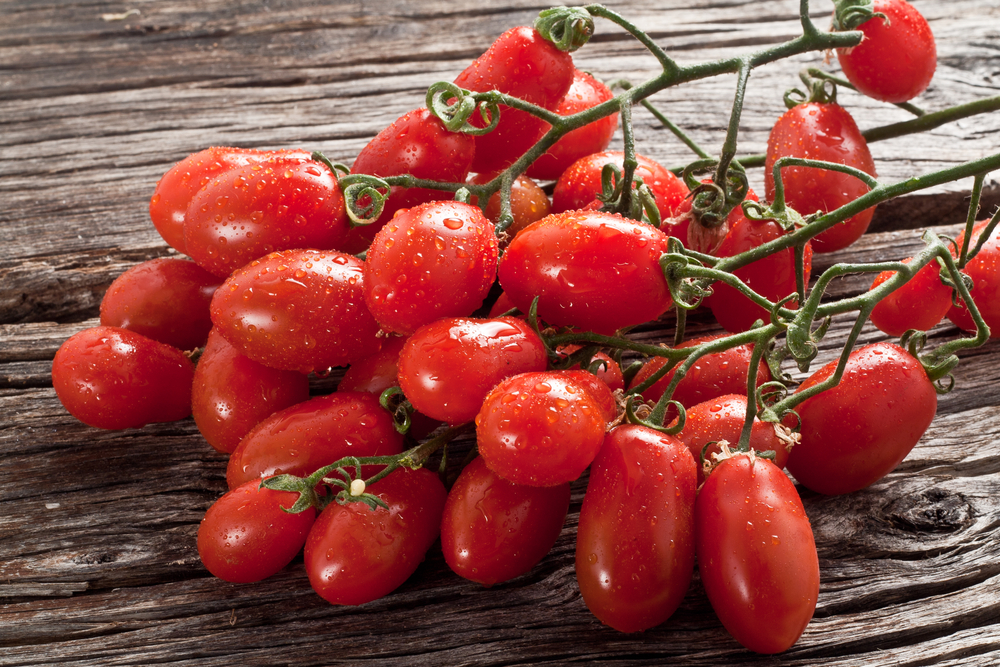 20+ of the Best Tomato Varieties
