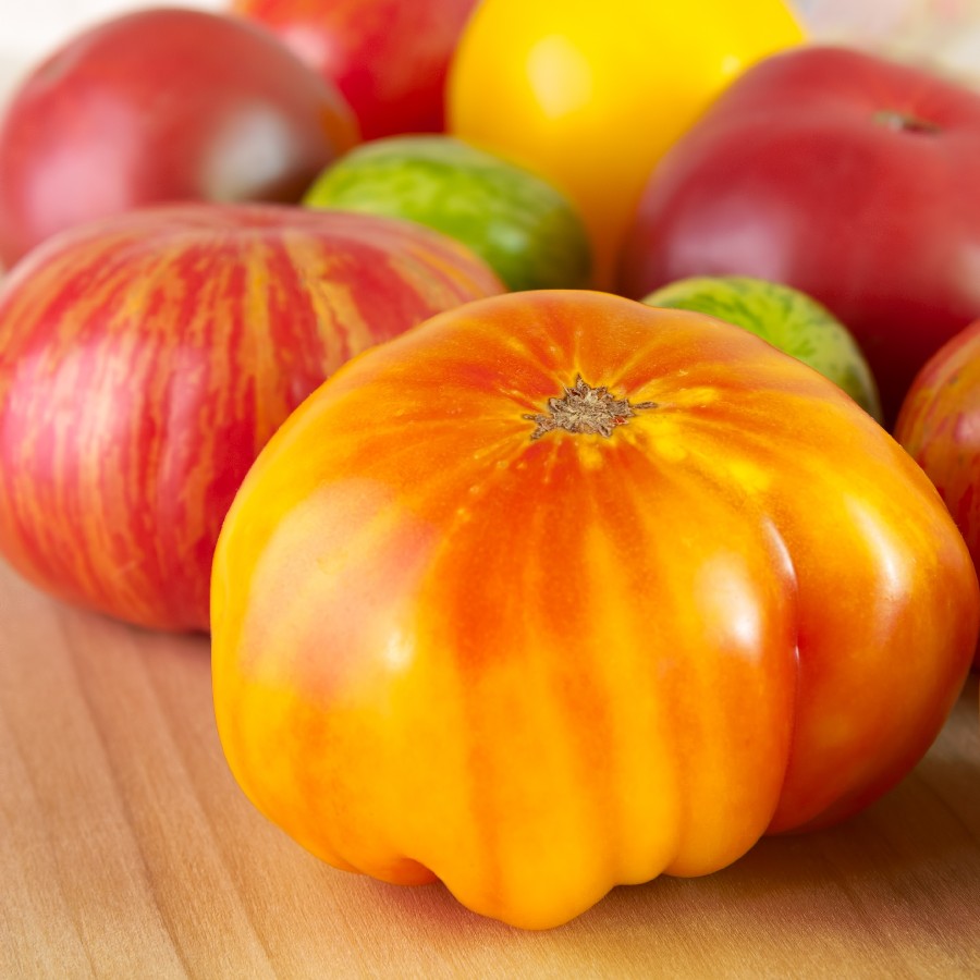 20+ of the Best Tomato Varieties