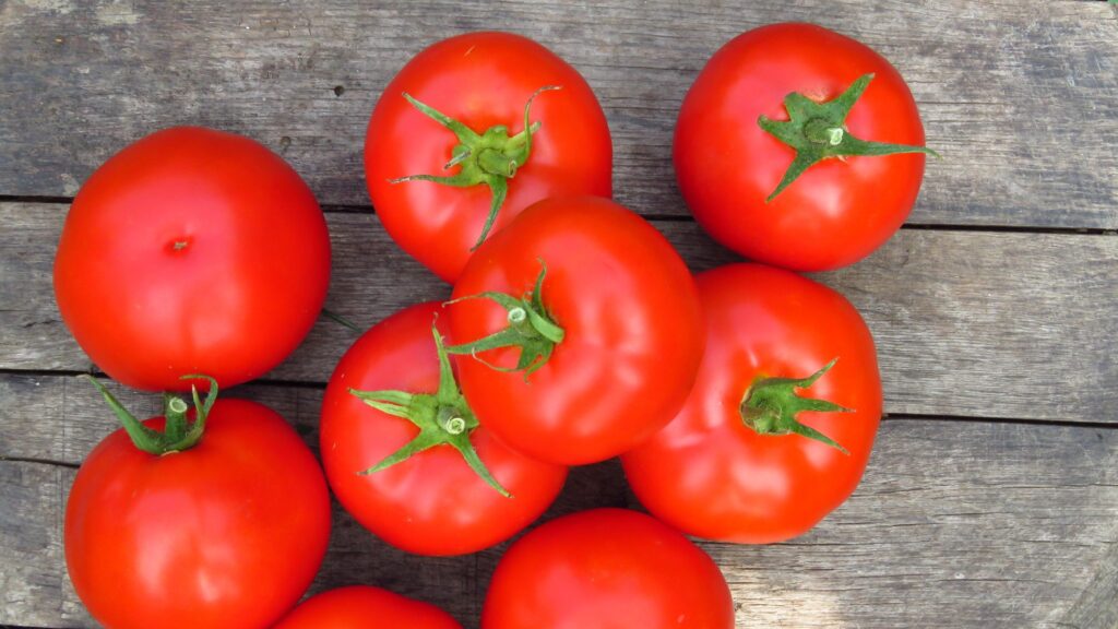 20+ of the Best Tomato Varieties