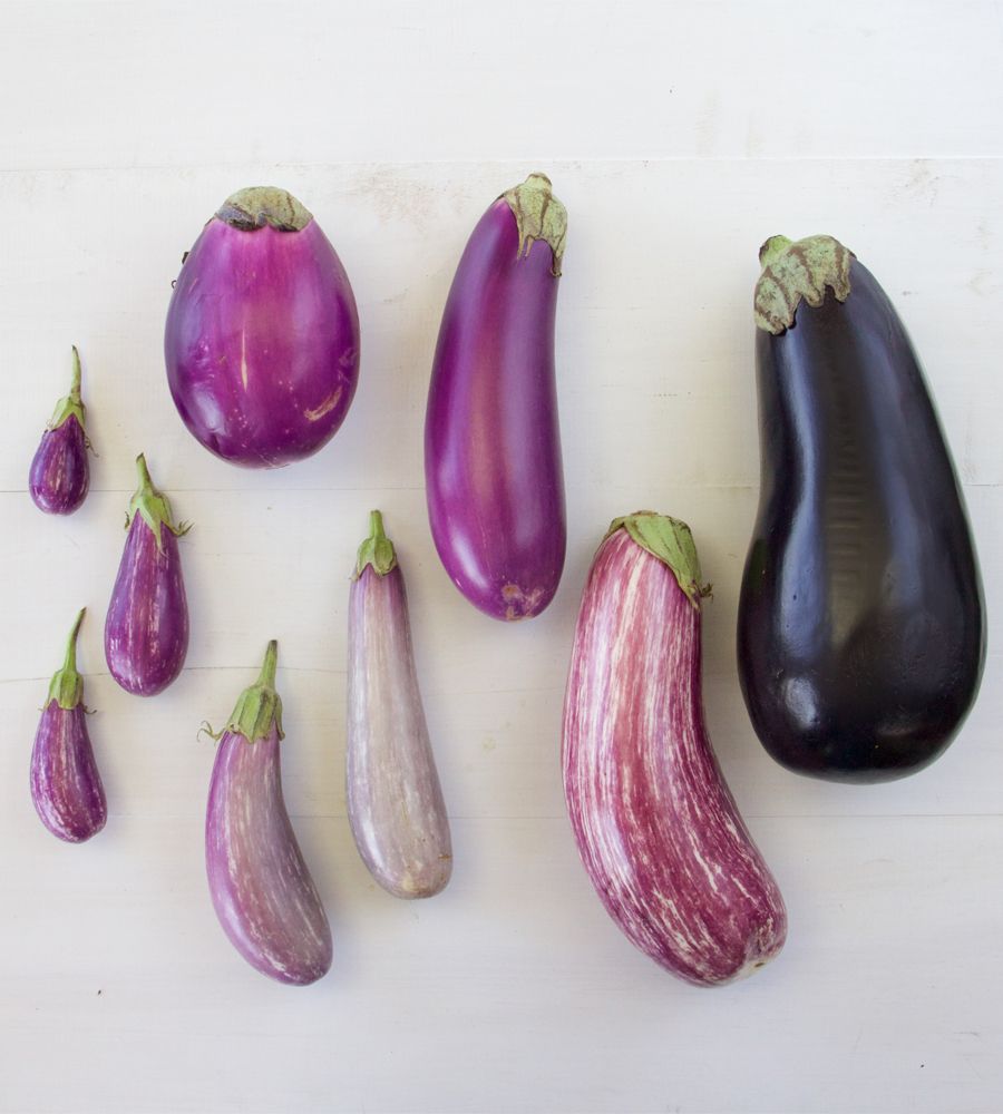 18 Purple Vegetables You Need to Grow