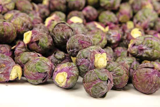 18 Purple Vegetables You Need to Grow