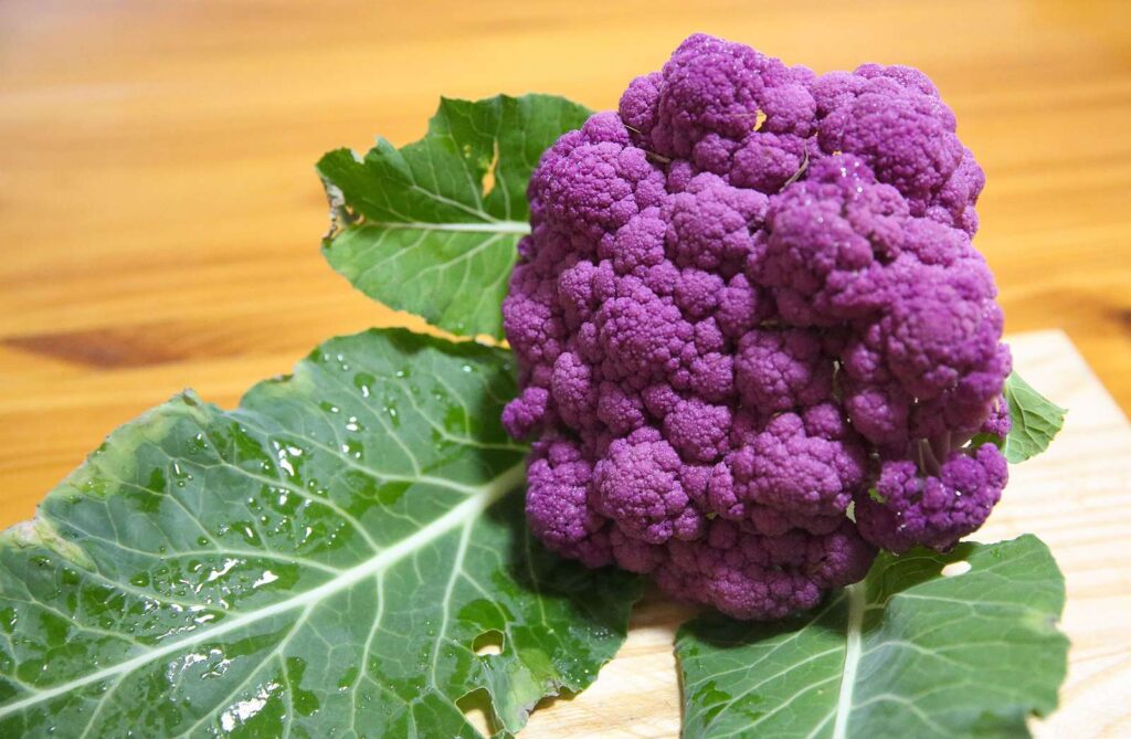 18 Purple Vegetables You Need to Grow
