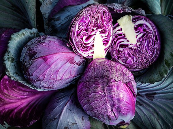 18 Purple Vegetables You Need to Grow