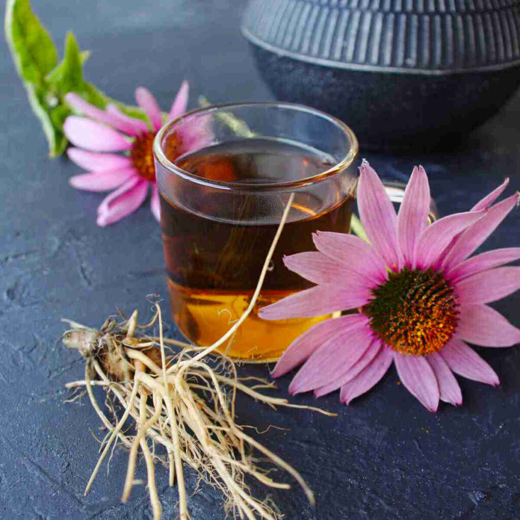 10 Best Healthy & Hot Winter Drinks