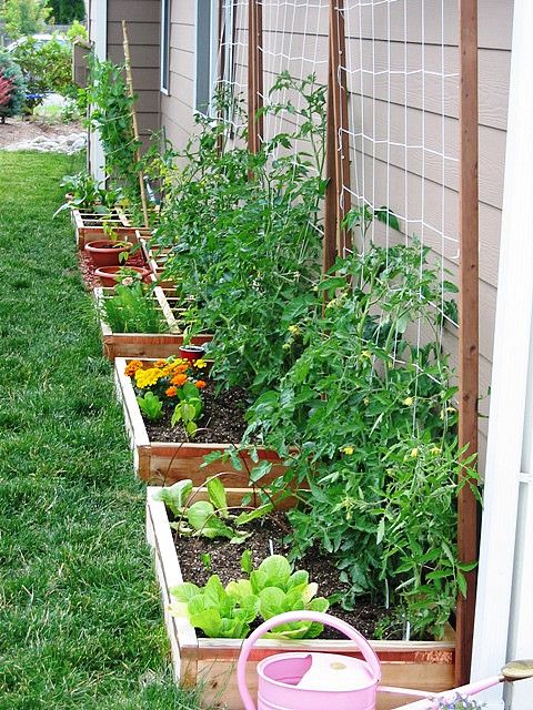 15 Raised Bed Garden Design Ideas