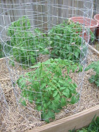 15 Raised Bed Garden Design Ideas