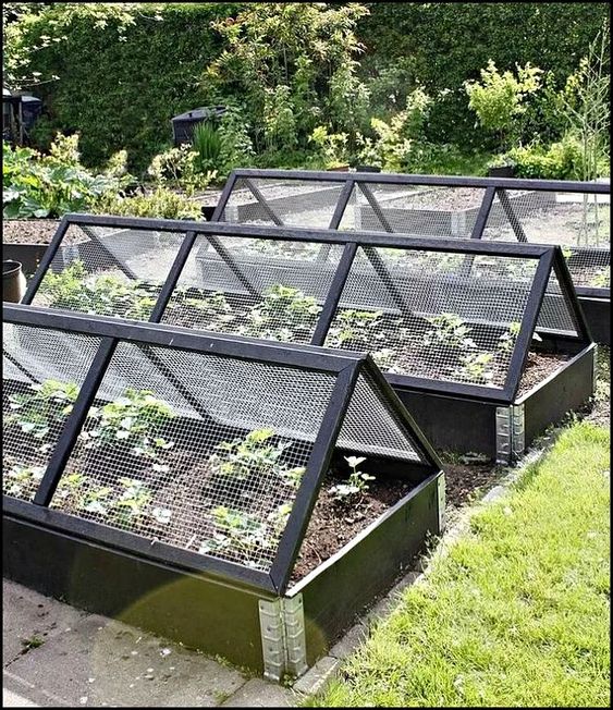 15 Raised Bed Garden Design Ideas