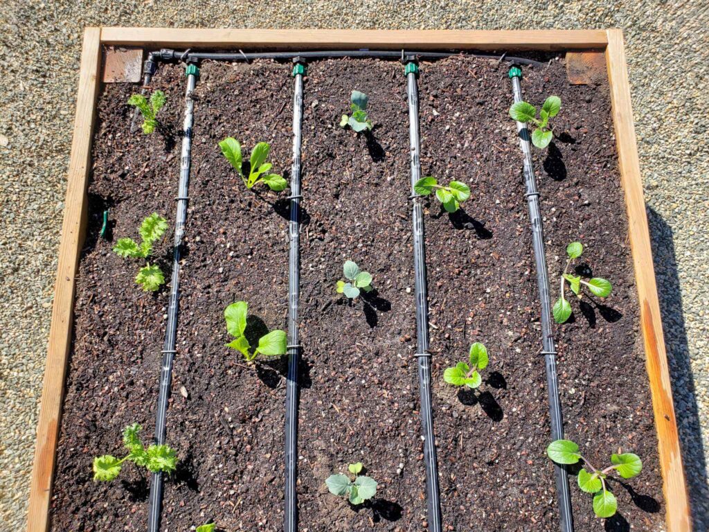 15 Raised Bed Garden Design Ideas